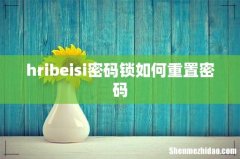 hribeisi密码锁如何重置密码