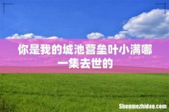 你是我的城池营垒叶小满哪一集去世的
