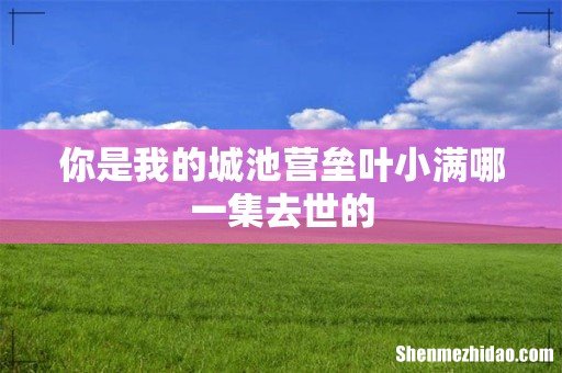 你是我的城池营垒叶小满哪一集去世的