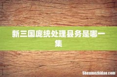 新三国庞统处理县务是哪一集