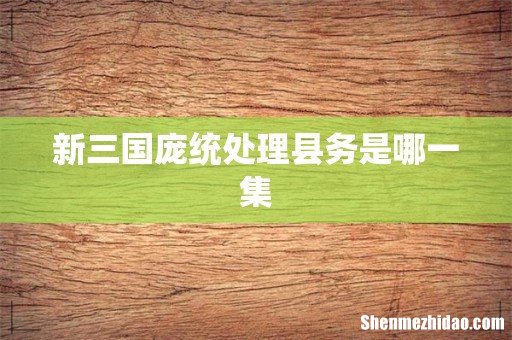 新三国庞统处理县务是哪一集