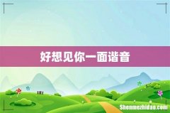 好想见你一面谐音
