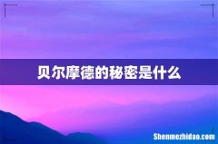 贝尔摩德的秘密是什么
