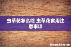 虫草花怎么吃 虫草花食用注意事项
