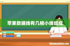 苹果数据线有几根小线组成