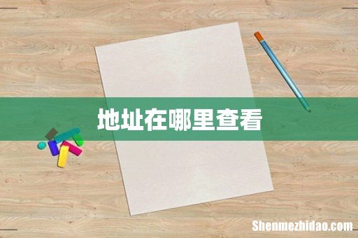 地址在哪里查看