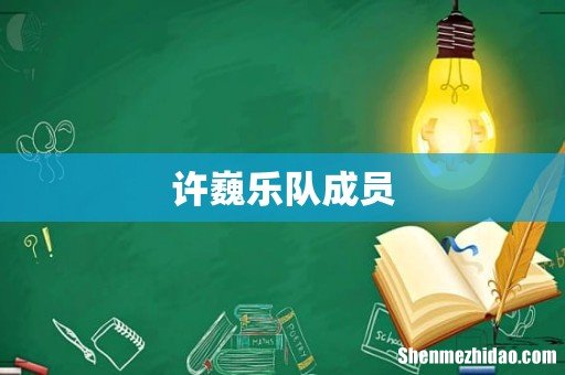 许巍乐队成员