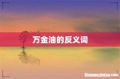 万金油的反义词