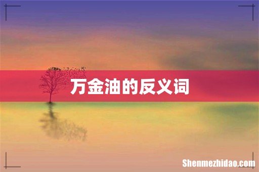 万金油的反义词