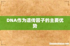 DNA作为遗传因子的主要优势
