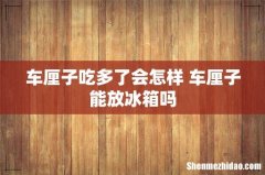 车厘子吃多了会怎样 车厘子能放冰箱吗