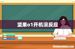 坚果o1开机没反应