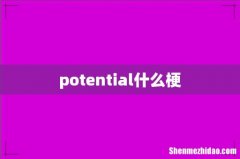 potential什么梗