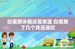 白菜放冰箱还是常温 白菜放了几个月还没烂
