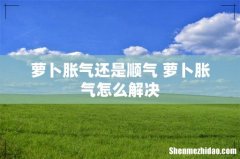 萝卜胀气还是顺气 萝卜胀气怎么解决