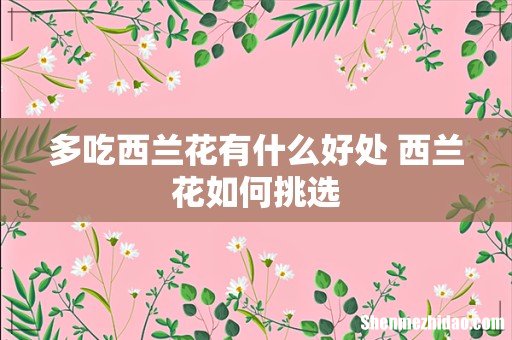 多吃西兰花有什么好处 西兰花如何挑选