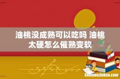 油桃没成熟可以吃吗 油桃太硬怎么催熟变软