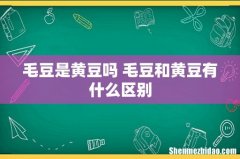 毛豆是黄豆吗 毛豆和黄豆有什么区别