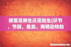 环节，节肢，鱼类，两栖动物胎生还是卵生 螃蟹是卵生还是胎生