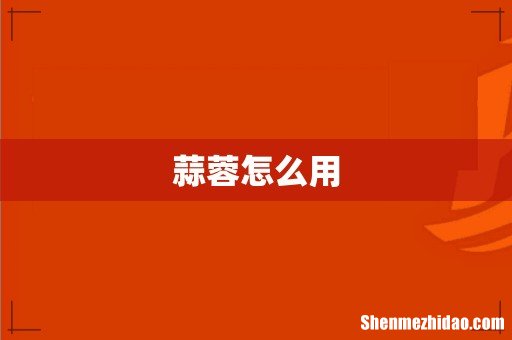 蒜蓉怎么用