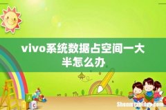 vivo系统数据占空间一大半怎么办