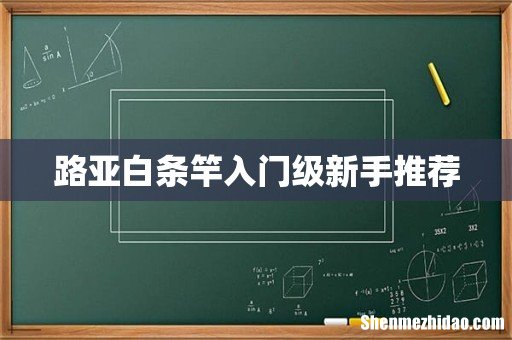 路亚白条竿入门级新手推荐