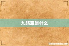 九路军是什么