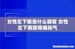 女性左下腹是什么器官 女性左下腹部疼痛胀气