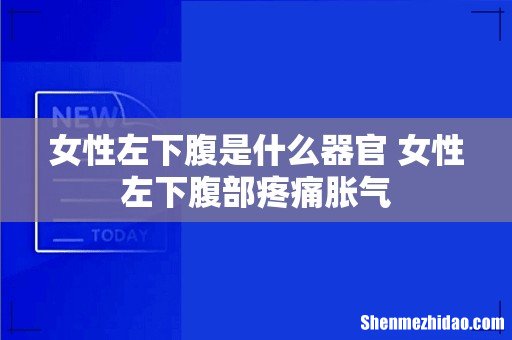女性左下腹是什么器官 女性左下腹部疼痛胀气