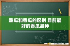 甜瓜和香瓜的区别 目前最好的香瓜品种