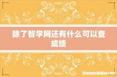 除了智学网还有什么可以查成绩