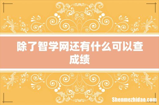 除了智学网还有什么可以查成绩