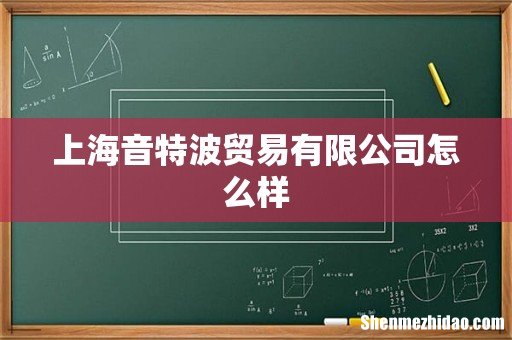 上海音特波贸易有限公司怎么样