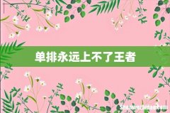 单排永远上不了王者