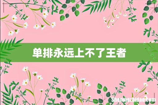 单排永远上不了王者