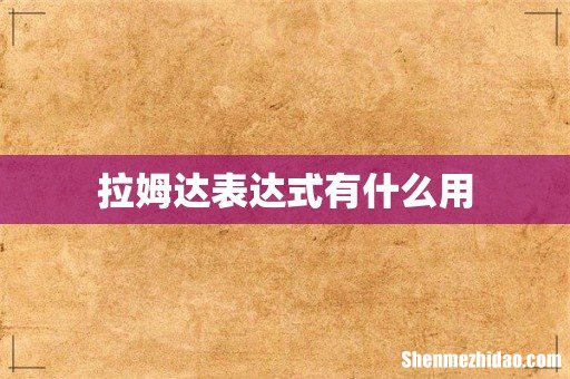 拉姆达表达式有什么用