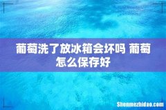 葡萄洗了放冰箱会坏吗 葡萄怎么保存好