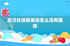 武汉社保新系统怎么没有医保
