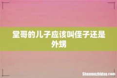 堂哥的儿子应该叫侄子还是外甥