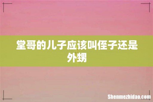 堂哥的儿子应该叫侄子还是外甥