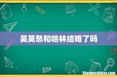 吴莫愁和哈林结婚了吗