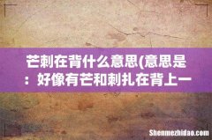 意思是：好像有芒和刺扎在背上一样，形容极度不安的成语 芒刺在背什么意思