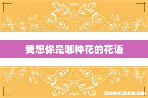 我想你是哪种花的花语
