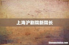 上海沪剧院新院长