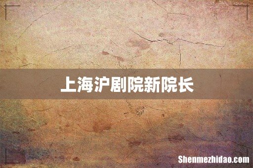 上海沪剧院新院长