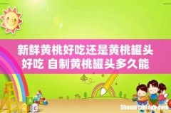新鲜黄桃好吃还是黄桃罐头好吃 自制黄桃罐头多久能吃