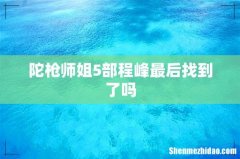 陀枪师姐5部程峰最后找到了吗
