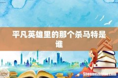 平凡英雄里的那个杀马特是谁