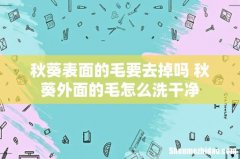 秋葵表面的毛要去掉吗 秋葵外面的毛怎么洗干净