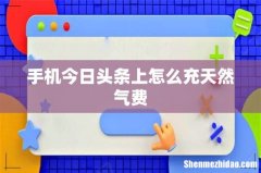 手机今日头条上怎么充天然气费